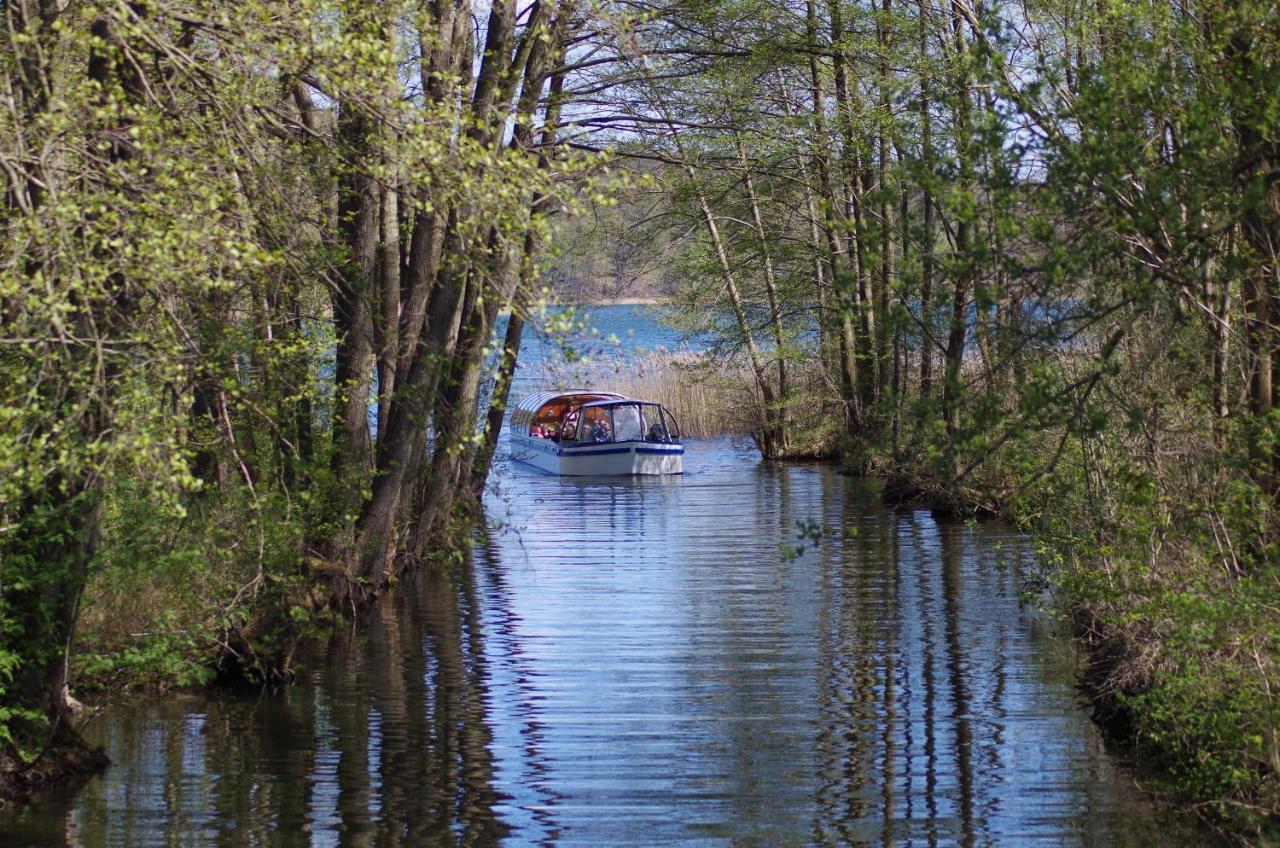 Sonnenhotel Feldberg Am See Mit Schwimmbad, Sauna Und Dampfbad Feldberger Seenlandschaft Eksteriør bilde